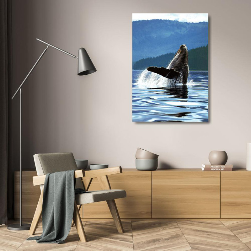 Baleine à bosse
