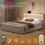 Upholstered Storage Bed-839646166