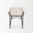 Gloriette 19.62'' H Upholstered Metal Armchair-61600911