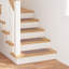 Stair Tread
