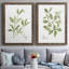 Toile encadrée Herb Sage-Premium - prête à être accrochée-652120135-652120134