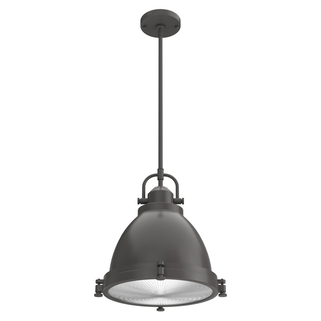 Bridgemoor 2 - Light Single Dome Pendant Hunter Fan