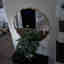 Customer photo 3 of 3