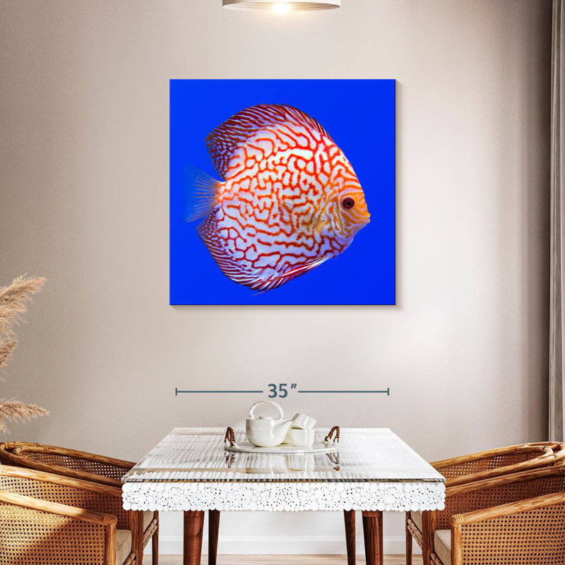 Brampt Exotic Discus Fish, 36" H x 36" W