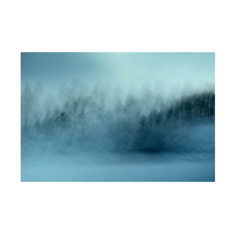 Art sur toile «Bacheline» par Christina Sillen Wintersaga, H 12 po x l 19 po