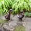 Statues duckling bronze Krugerville