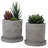 Indoor Unglazed Cement Pot Planter Set-1678347781