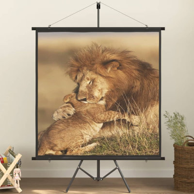 Arpiar White Portable Projection Screen