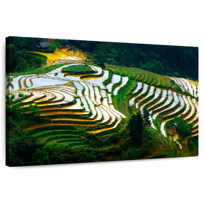 Alvord Benguet Rice Terraces, 20" H x 30" W