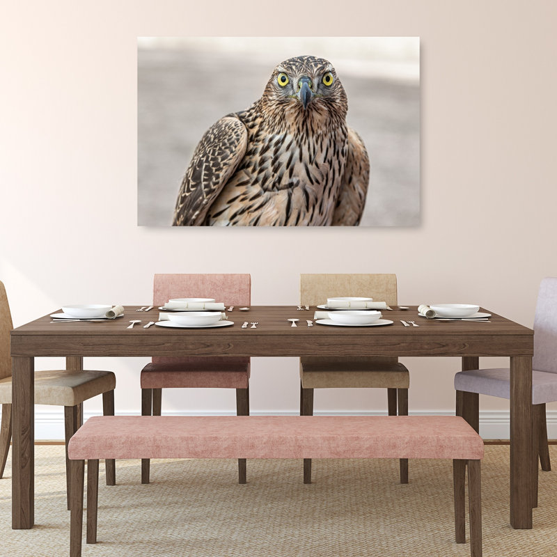 Reproduction d'art murale oiseau Intense Goshawk, 32" H x 48" W