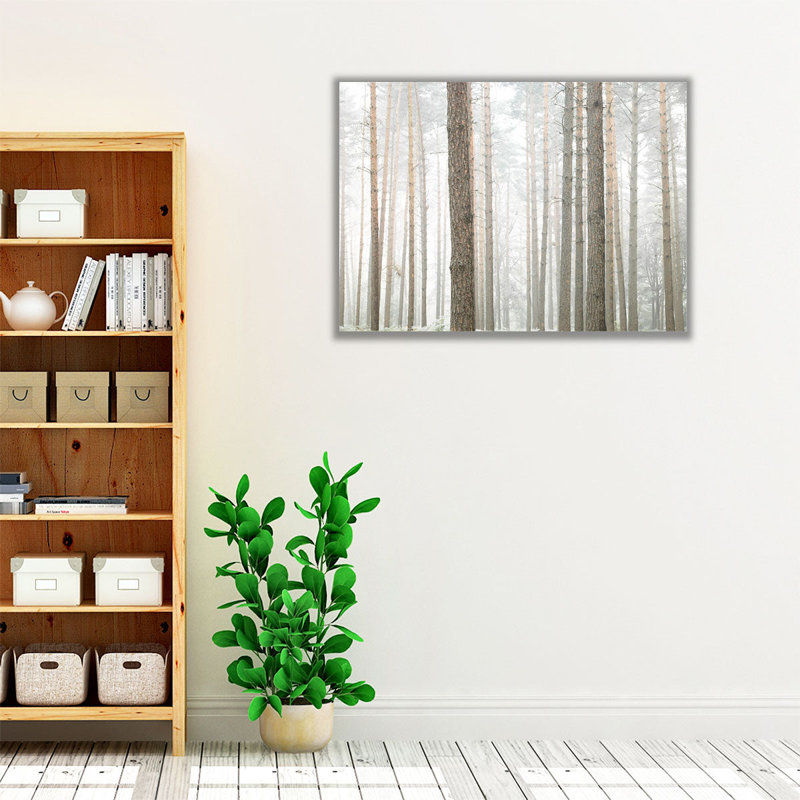 «Tree Trunks In Forest», reproduction d'art sur toile, H 18 po x l 24 po