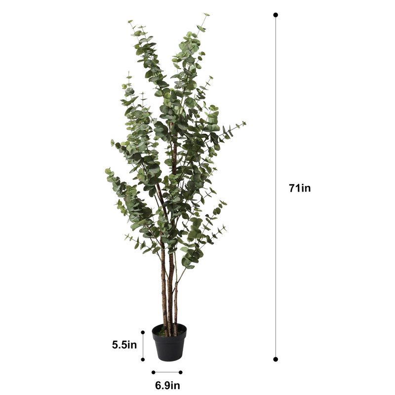 Eucalyptus artificiel en pot noir pour décoration de bureau personnel, H 70,9 po x l 23,6 po x P 23,6 po