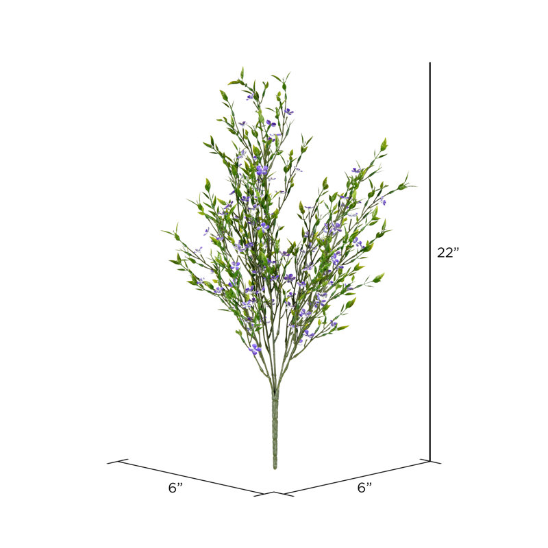 Buisson