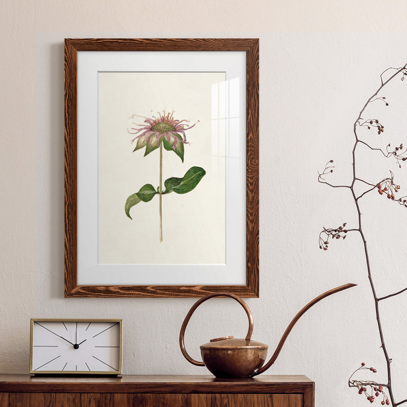 Mauve Garden Flowers V - peinture encadrée, Érable encadré, H 20 po x l 17 po x P 1 po