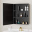 Elise 24 po L 30 po H Pharmacie rectangulaire en aluminium avec miroir, murale / encastrée Tablettes en verre-949502758-949502759