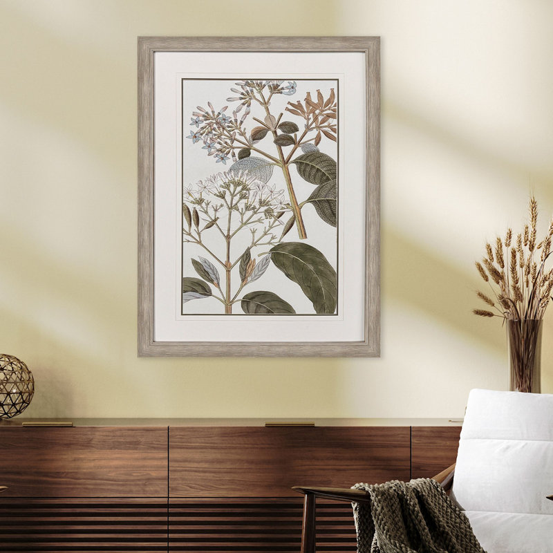 Distressed Silver Botanical Canvas Art with Moss Matting
