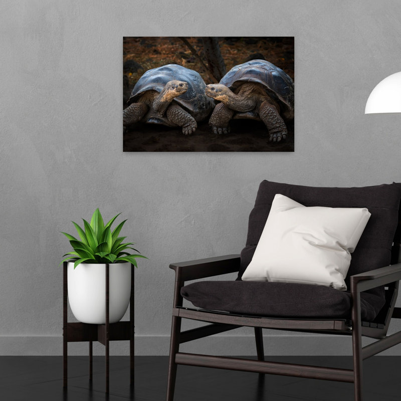 Giant Tortoises Facing Contemporary Wall Art Print 1 Piece Wrapped Canvas Wall Art, 60.96cm H x 40.64cm W