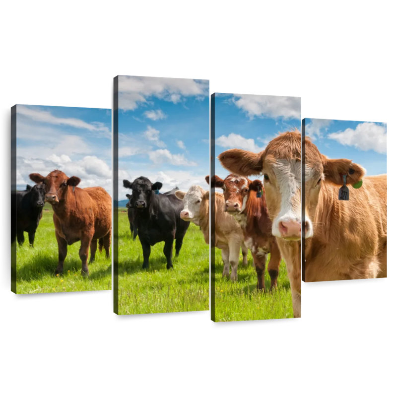 Brampt Candid Highland Cows, 48" H x 75" W