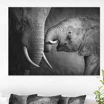 Elephant Print for Sale