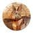 Lapin
