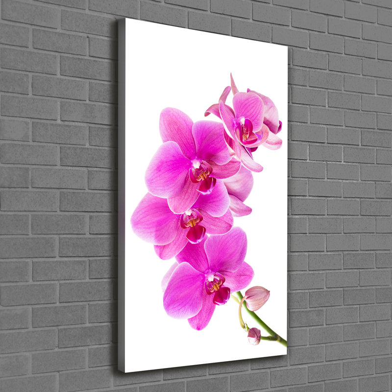 Pink Orchid - Wrapped Canvas Print