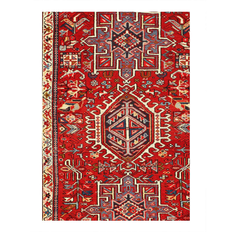 Jaevian Oriental Area Rug