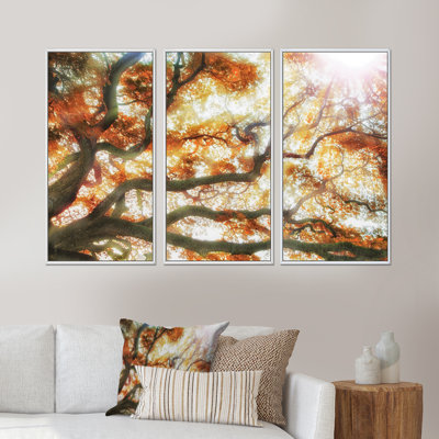 Grand arbre - photo flottante sur toile 3 pièces