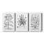 B&W Plant Spechantillon IX - Toile tendue sur mesure avec châssis - 3 pièces-848808066
