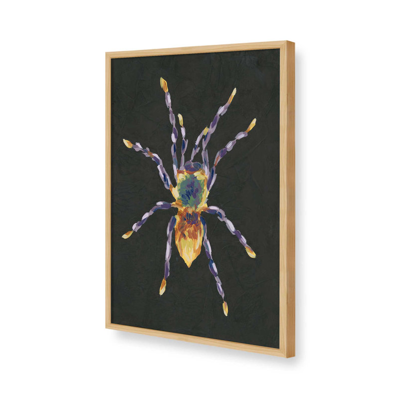 «Spider Cameo II» par June Erica Vess, reproduction d'art, H 18 po x l 12 po, Impression sur cadre ouvert sans papier mat