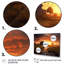 «Glorious Sunset Over Waterway In The Fields», reproduction sur toile-1223703375-1223703360