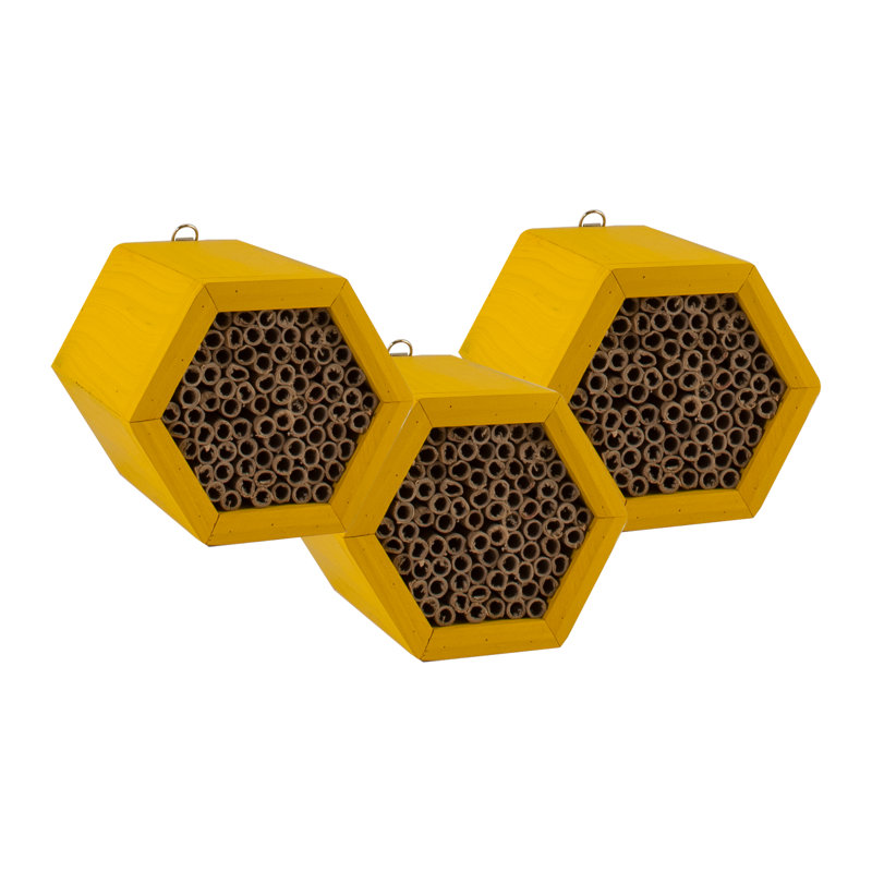 Beekeeping Beehive Accessory