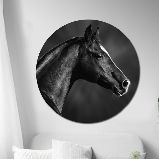 Black Horse Profile Print, 46" H x 46" W