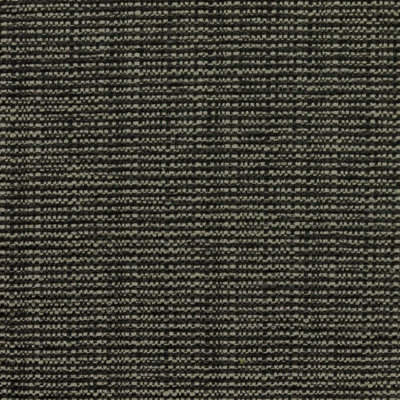 Bronco Fabric