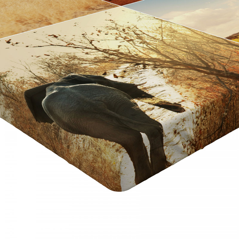 Drap-housse safari, Simple