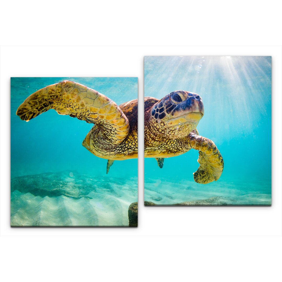 2-tlg. Leinwandbilder-Set Schildkröte im Wasser