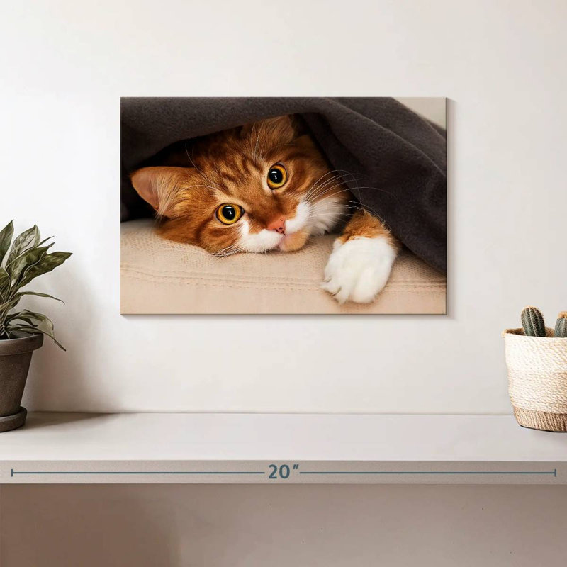 Crowle Cozy Cat, H 8 po x l 12 po