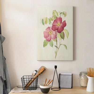 " Dusty Rose II "