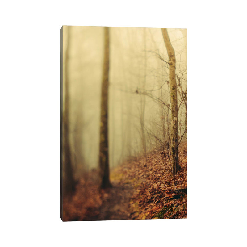 Trees In Fog III - Wrapped Canvas Print, 66.04 cm H x 45.72 cm W x 3.175 cm D