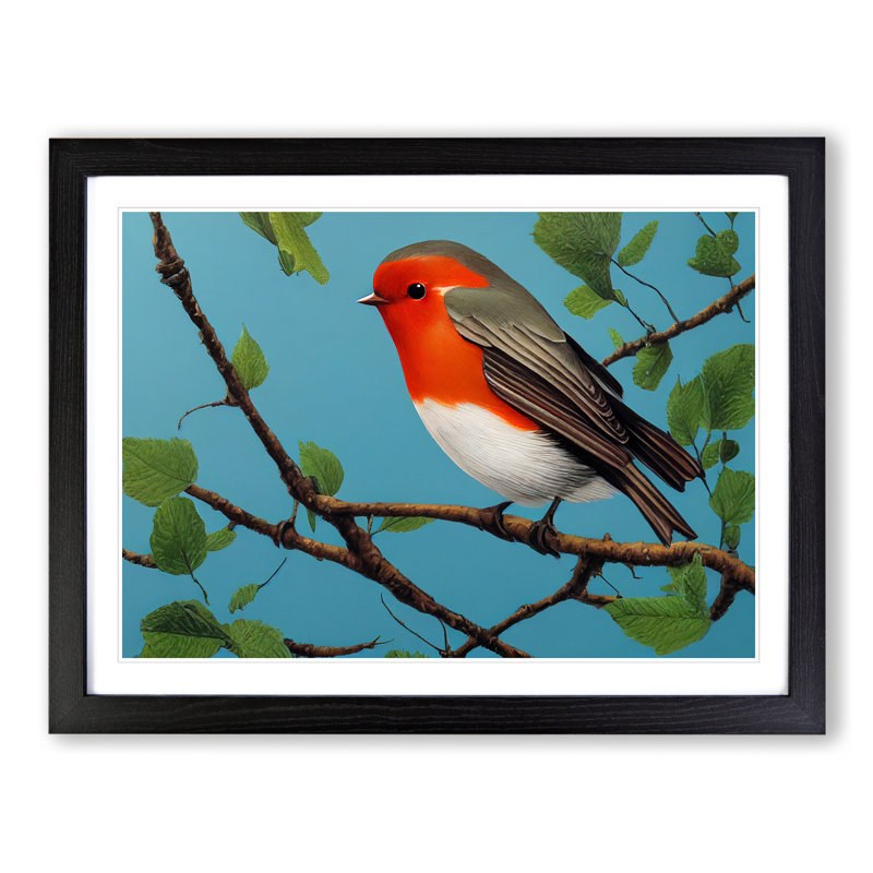 Astounding Robin Bird - Single Picture Frame Print, Black Framed, 46cm H x 64cm W x 2cm D