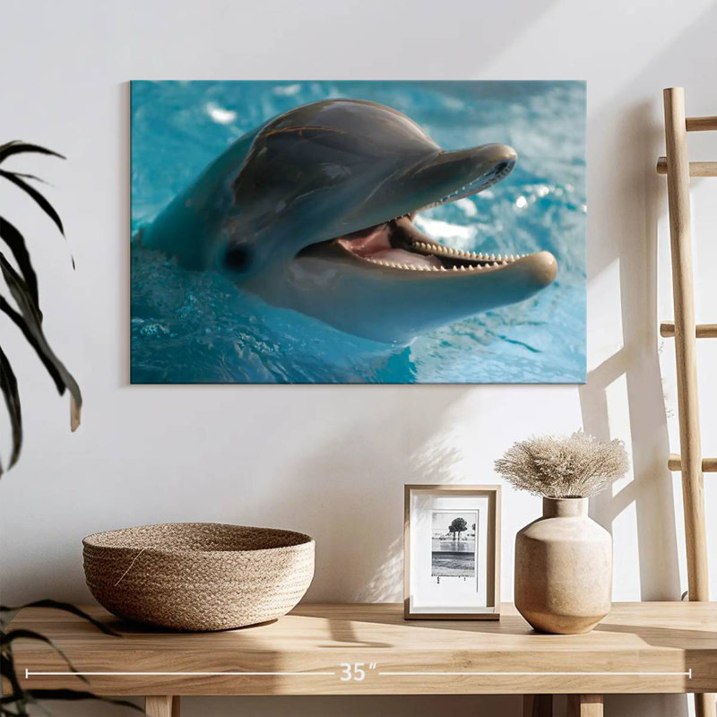 Brampt Delighted Dolphin, 26" H x 39" W