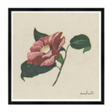 Wild Rose Print