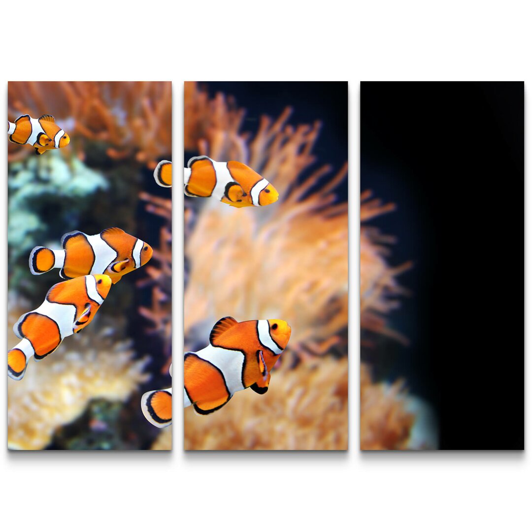 3-tlg. Leinwandbilder-Set Clownfisch und Seeanemone