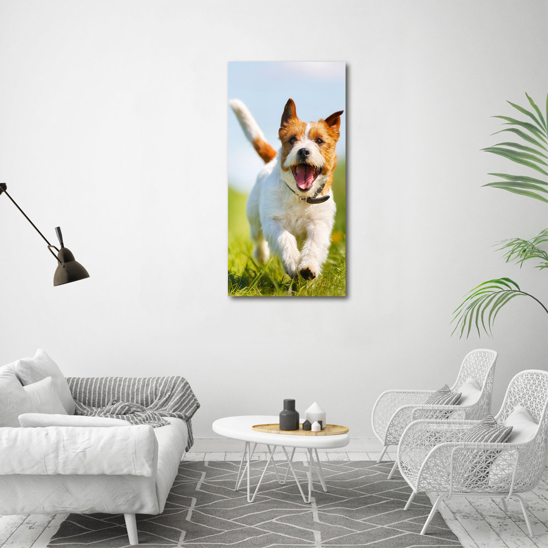 Hund Jack Russell - Kunstdrucke auf Segeltuch