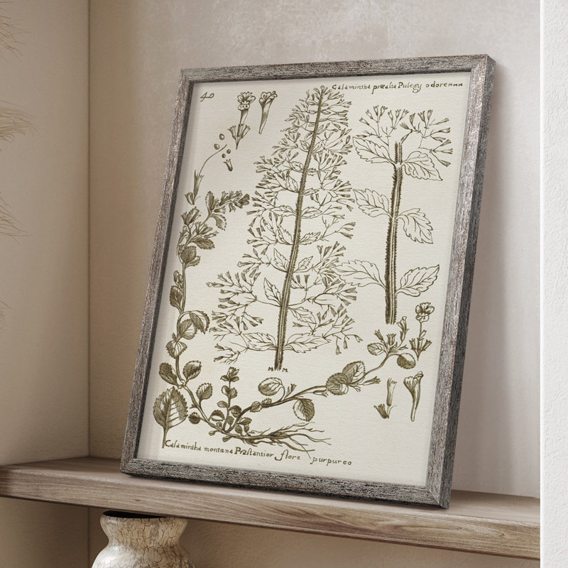 Sepia Botanical Journal V Framed Print - Solid Wood, 21" H x 17" W