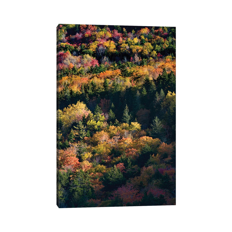 USA, Maine. Autumn Foliage Viewed From Atop The Bubbles Near Jordan Pond, Acadia National Park by Judith Zimmerman - Wrapped Canvas Print