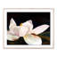 Dancer Print by JR Rapier-755736924-755736925