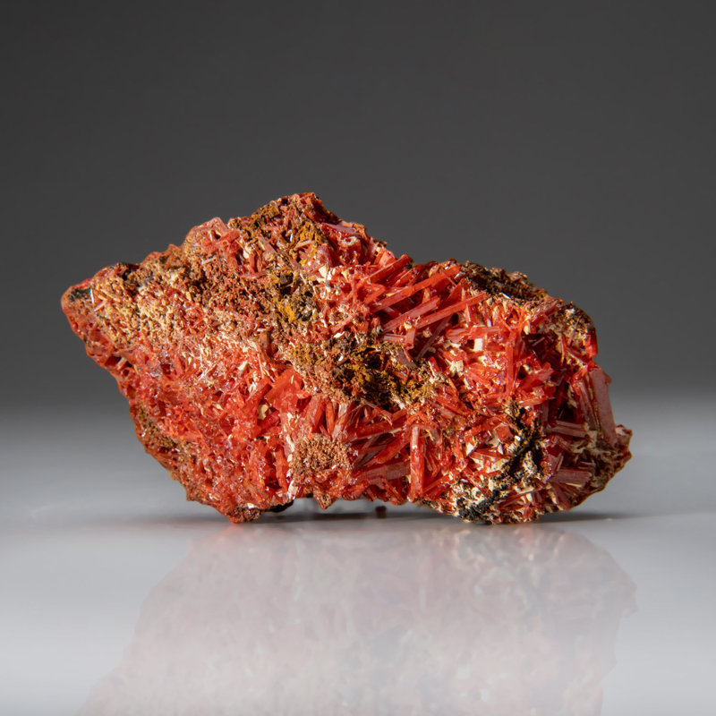 Crocoite de la mine de plomb rouge, Dundas, Tasmania, Australie
