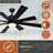 Olney 60'' Ceiling Fan with LED Lights-158376681