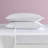 Betsey Johnson Soft Satin Sheet Sets-105700056-55869949