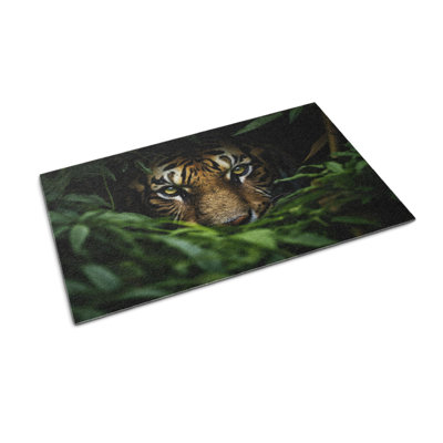 Non-Slip Outdoor Doormat